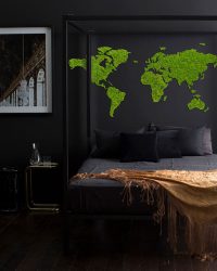 Mapa świata z mchu chrobotka - zielona mapa
