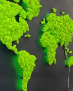 Podświetlana mapa świata z mchu chrobotka