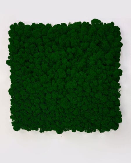 Panel z mchu chrobotka