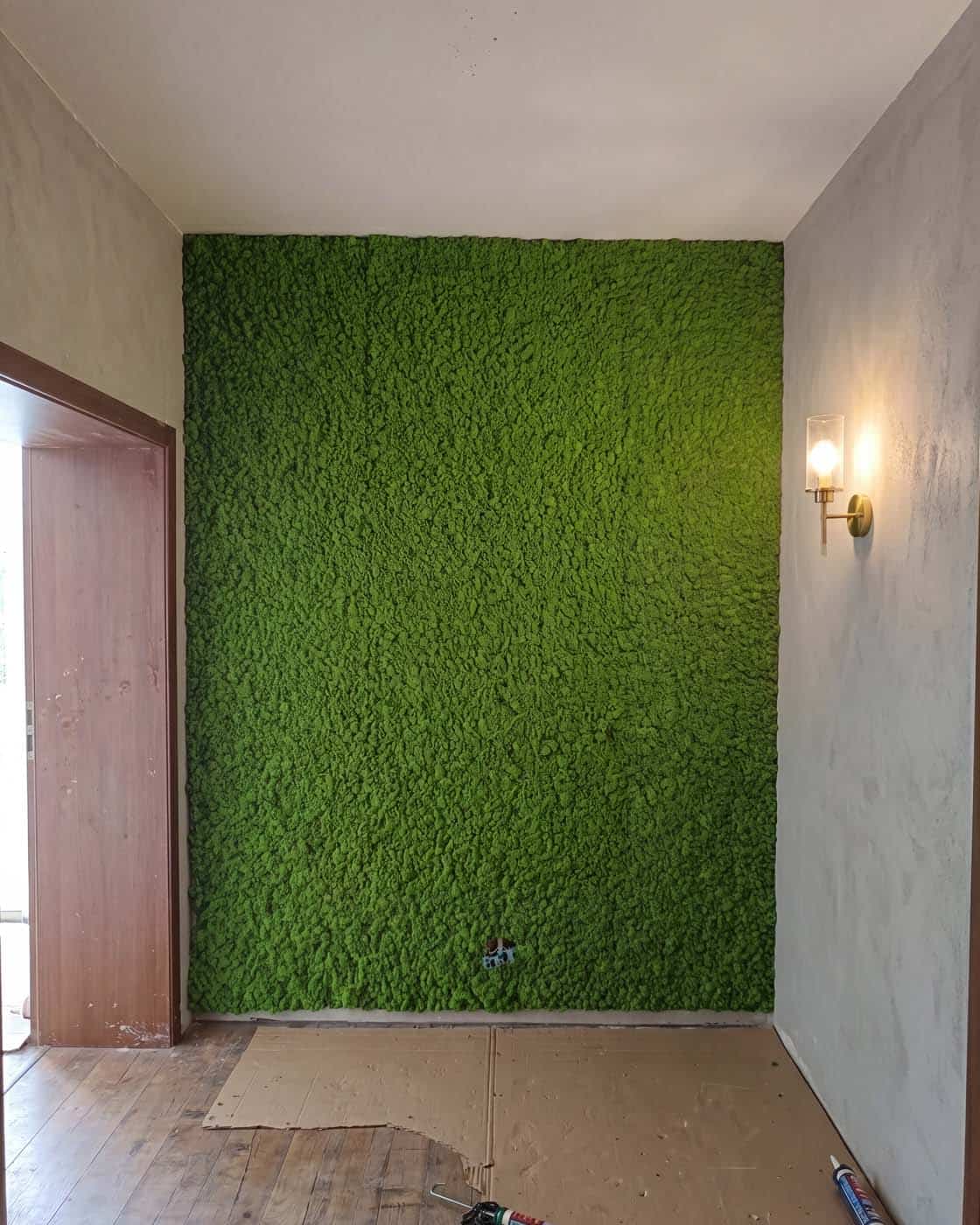Panel Z Chrobotka We Wnęce Przy Drzwiach